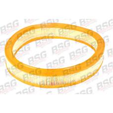 BSG BSG30-135-008 (1444N6 / 6162294 / 89SF9601AA) фильтр воздушный