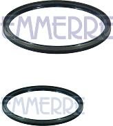 EMMERRE 101519 (101519_EM / 42127526) сальник ступицы зад внутренний 180x200x12 (нитрил) \iveco