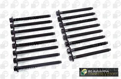 К-КТ БОЛТОВ ГБЦ CIT C5/C6/LAND ROV 2.7HDI/3.0 HDI 06- 2x