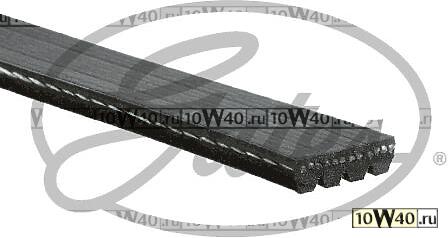 Ремень поликлиновый Gates SUBARU Forester (2.0/2.5),Impreza (07-) (1.5/2.0/2.5) 4PK806SF Gates GATES