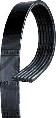ремень поликлиновой