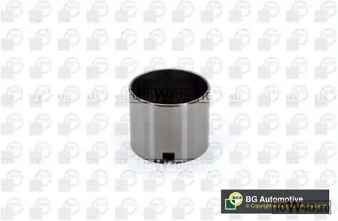 ТОЛКАТЕЛЬ REN 19 88-92/CLIO 91-98 1.9D