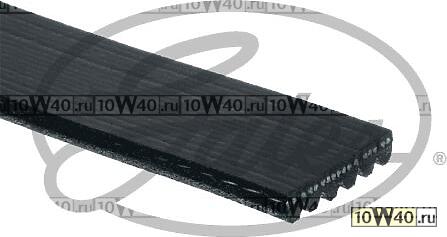 Ремень поликлиновый Gates AUDI/ BMW/ CHRYSLER/ CITROEN/ DODGE/ FORD/ PEUGEOT/ SEAT/ SKODA/ TOYOTA/ V