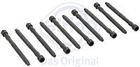 Болт ГБЦ AUDI/VW 2.0 00-08 (L=132mm M10x1.5)(10шт.комп.)