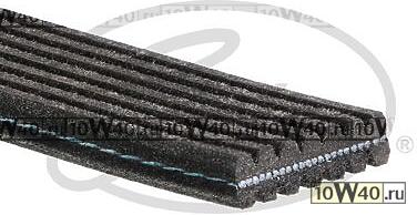 РЕМЕНЬ РУЧЕЙКОВЫЙ