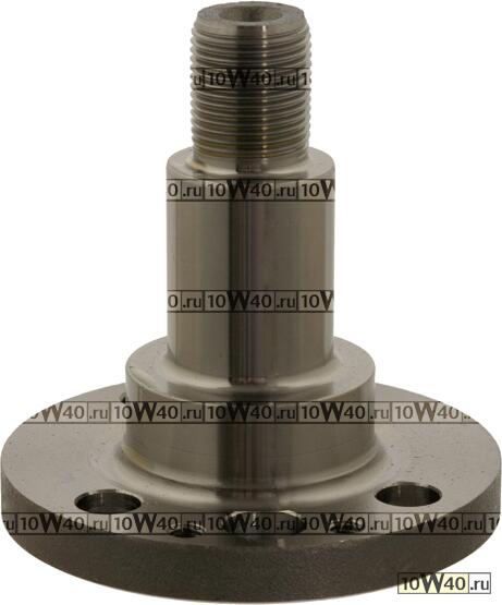 Код оригинала: 6Q0501117
, <BR>цапфа задняя  Audi A1/A2, Seat Ibiza,Skoda Fabia,VW Polo 1.2-1.4TFSi/1.6-2.0TDi 99>
