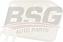 BSG BSG30-550-020 (BSG30550020) бачок расширительный / Ford (Форд) focus-i 1,6 / 2,0 zetec-e / 1,8 d ~ 05, Transit (Транзит) connect 02 ~