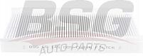 BSG BSG 65-145-005 (BSG65145005) фильтр вентиляции салона