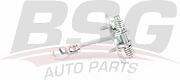 BSG BSG70-975-006 (BSG70975006) ограничитель открывания передней двери / Peugeot (Пежо) 206 00~